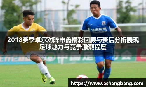 2018赛季卓尔对阵申鑫精彩回顾与赛后分析展现足球魅力与竞争激烈程度