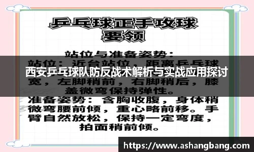 V体育-VSport官网