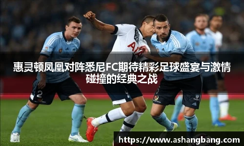 惠灵顿凤凰对阵悉尼FC期待精彩足球盛宴与激情碰撞的经典之战